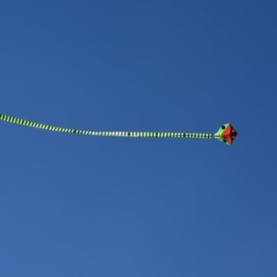 image-300